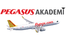 Pegasus Akademi Logo